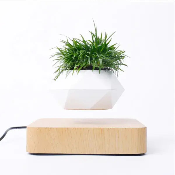 Potted Plant Desk Decor for Home or Office
