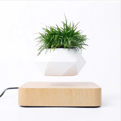 Potted Plant Desk Decor for Home or Office