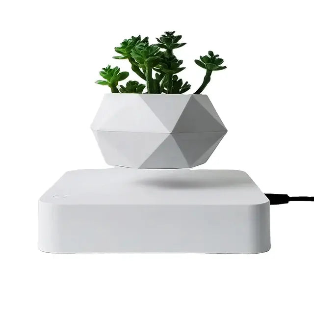 Potted Plant Desk Decor for Home or Office