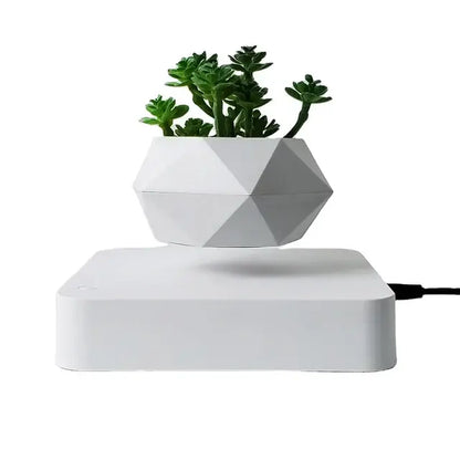 Potted Plant Desk Decor for Home or Office