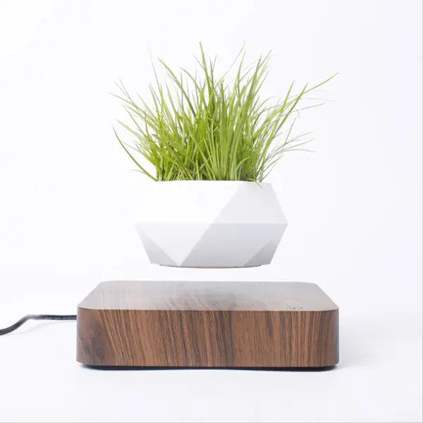 Potted Plant Desk Decor for Home or Office