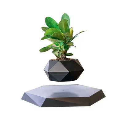 Potted Plant Desk Decor for Home or Office