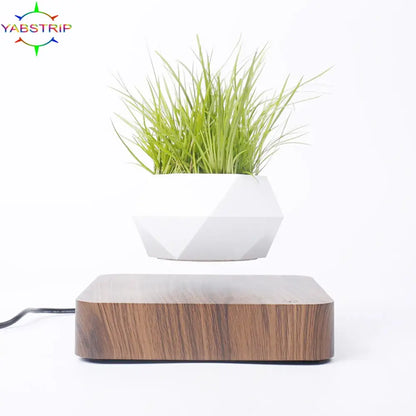 Potted Plant Desk Decor for Home or Office