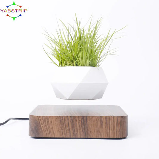 Potted Plant Desk Decor for Home or Office
